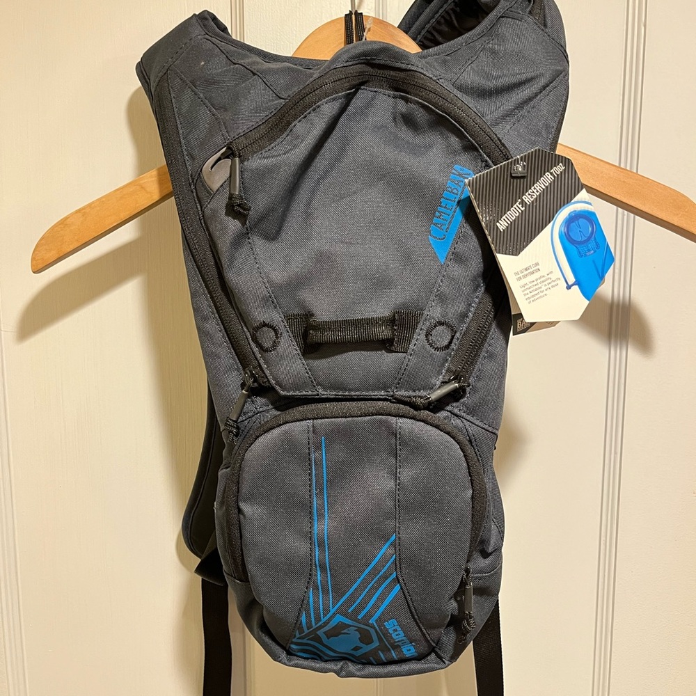 CamelBak Gray Hydration Backpack
